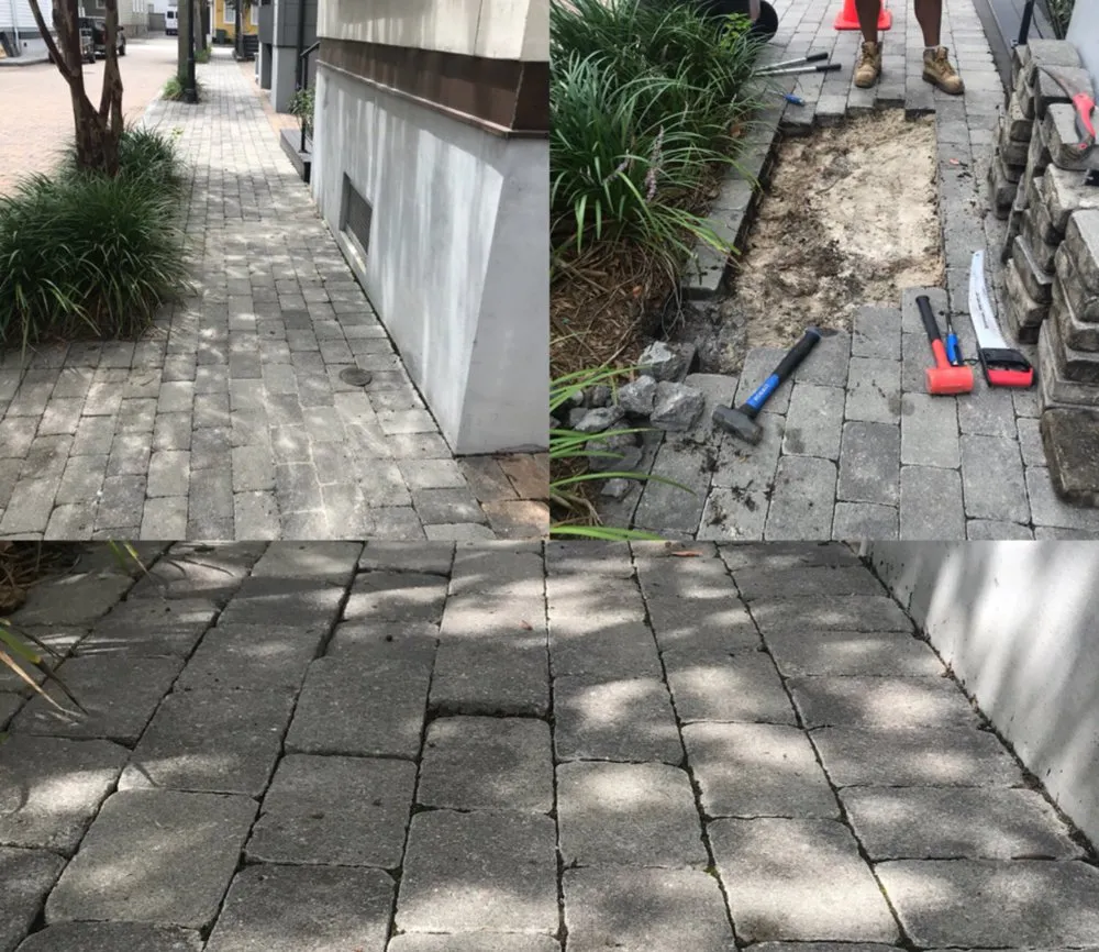 Affordable landscape installation in Summerville, SC by E-Scapes Landscape Contractors