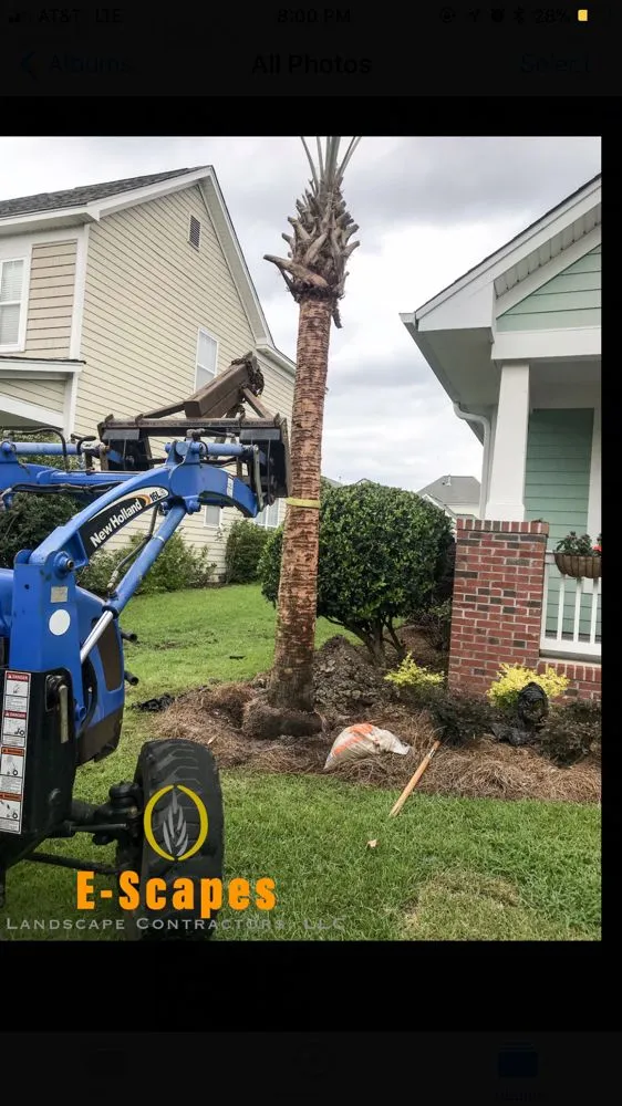 Affordable outdoor landscaping near you in Summerville, SC by E-Scapes Landscape Contractors