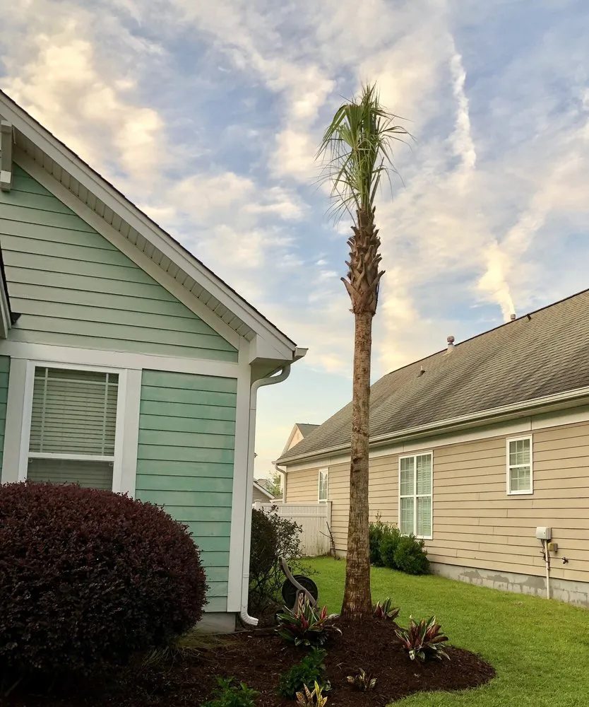 Reliable lawn care service in Summerville, SC - E-Scapes Landscape Contractors