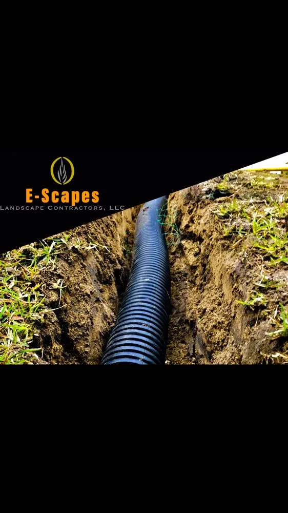 Custom lawn care service in Summerville, SC - E-Scapes Landscape Contractors