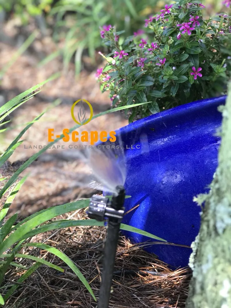 Expert lawn care service in Summerville, SC by E-Scapes Landscape Contractors