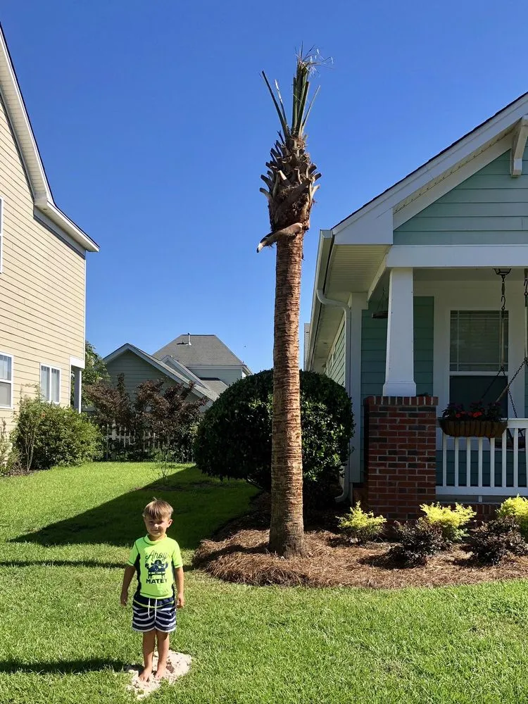 Professional landscape design in Summerville, SC by E-Scapes Landscape Contractors