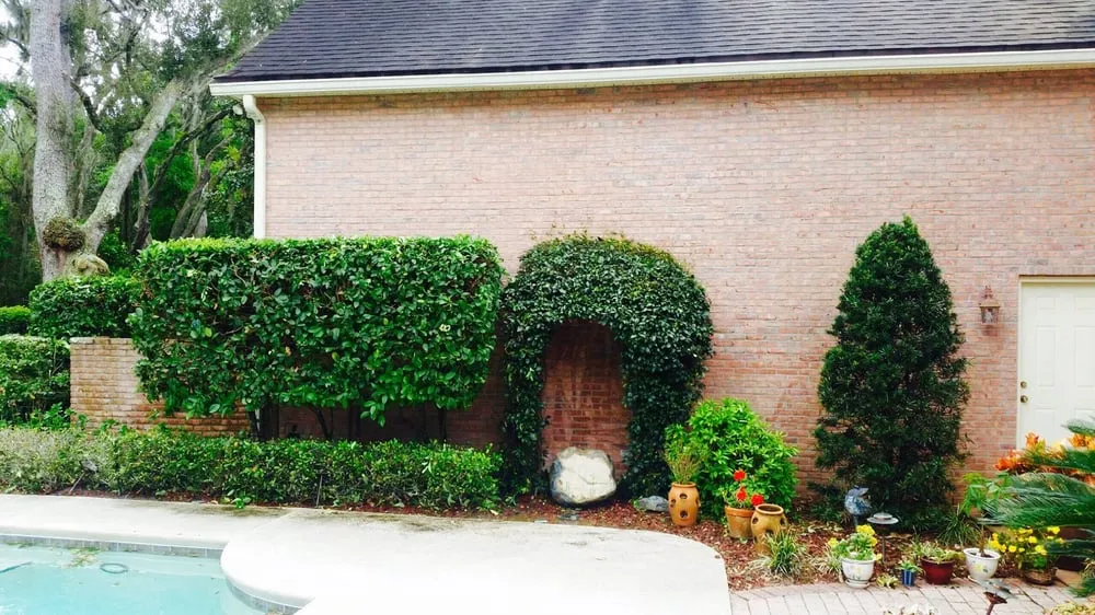 Expert landscape design in Jacksonville, FL - E-scapes Lawn Care