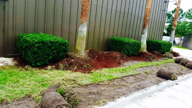 Top-rated yard maintenance in Jacksonville, FL by E-scapes Lawn Care