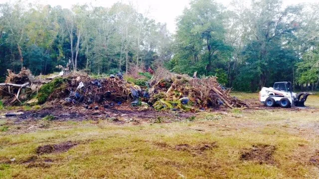 Trusted yard cleanup service in Jacksonville, FL by E-scapes Lawn Care