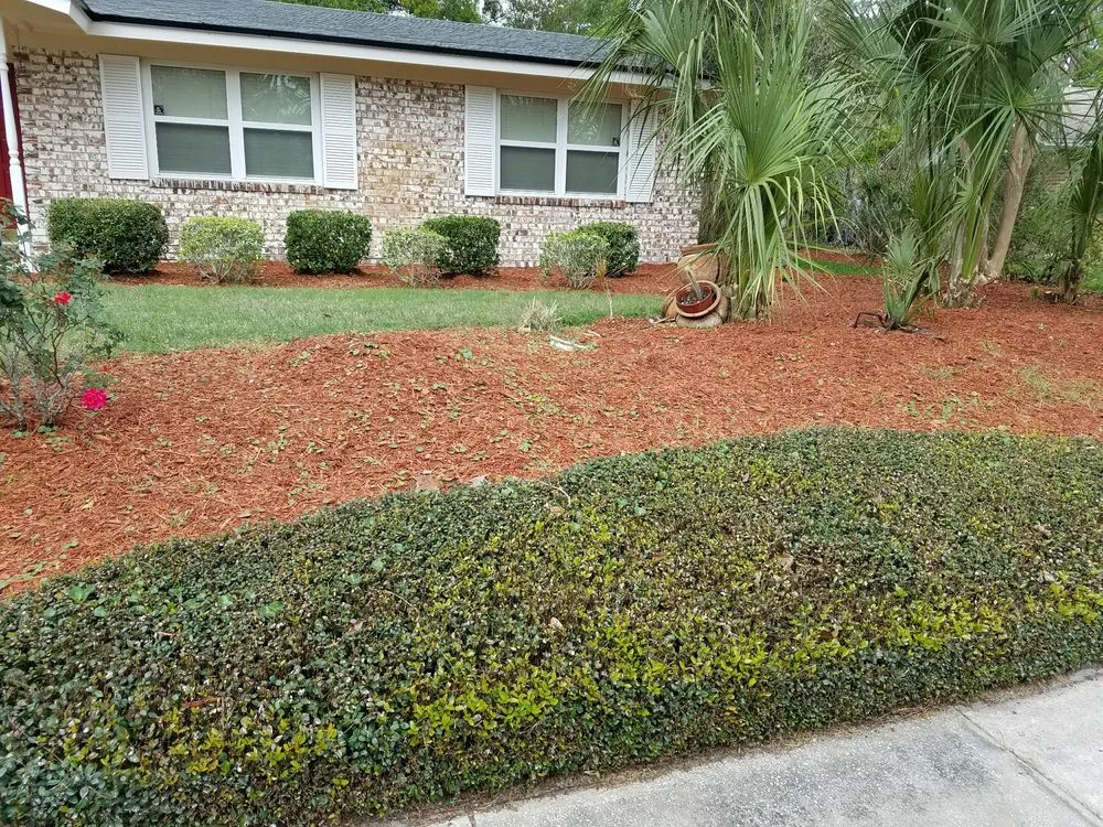 Reliable outdoor landscaping in Jacksonville, FL by E-scapes Lawn Care