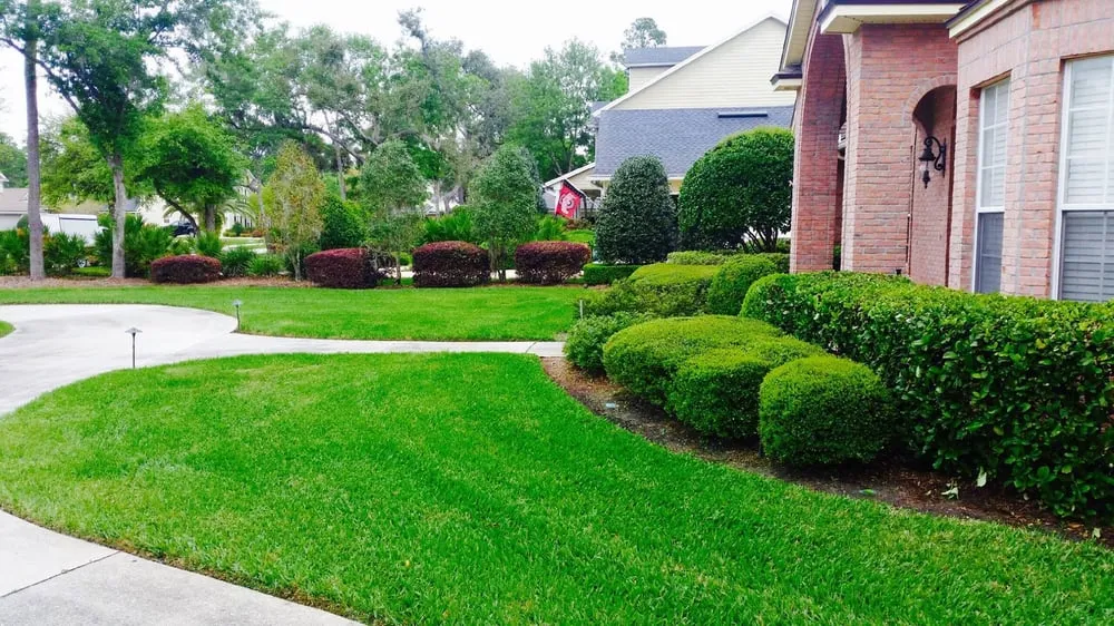 Custom residential landscaping in Jacksonville, FL - E-scapes Lawn Care