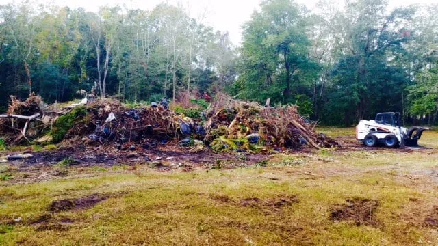 Professional yard maintenance experts serving Jacksonville, FL - E-scapes Lawn Care