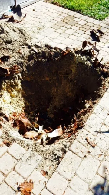 Professional residential landscaping in Jacksonville, FL - E-scapes Lawn Care