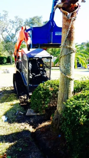 Professional landscaping services for outdoor upgrades across Jacksonville, FL - E-scapes Lawn Care