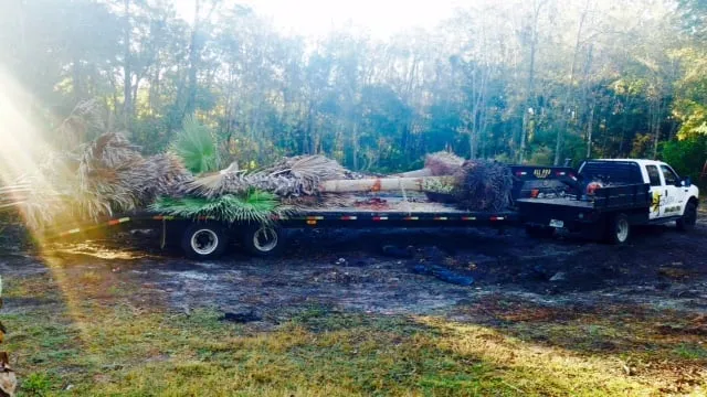 Expert landscaping services experts serving Jacksonville, FL - E-scapes Lawn Care