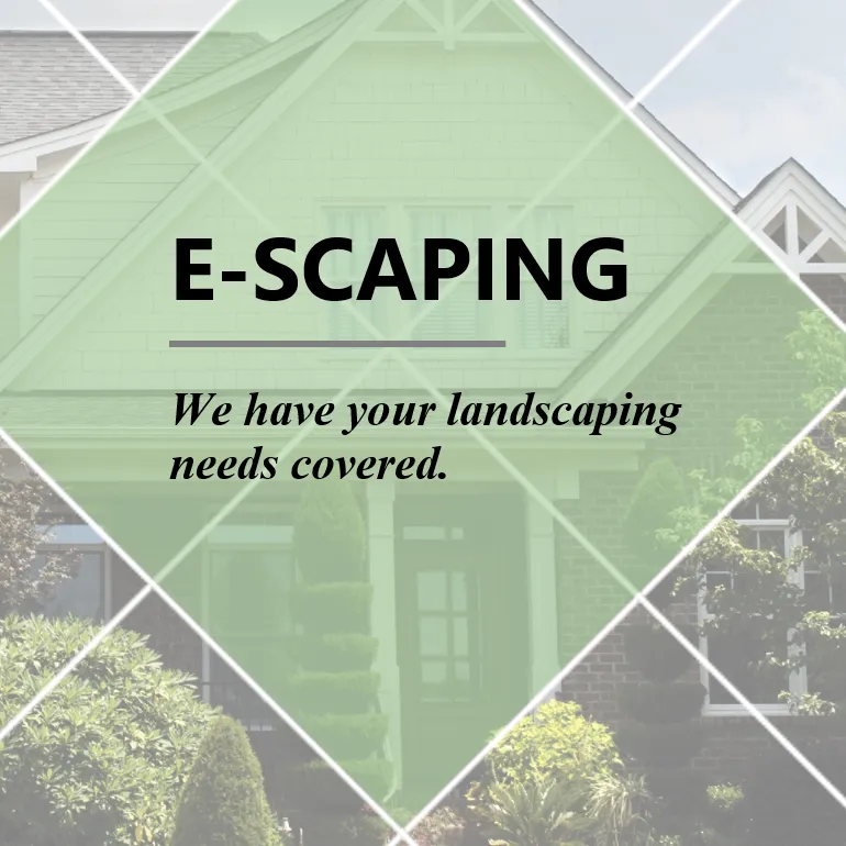 Custom garden landscaping for homes in Falls Church, VA by E-Scaping