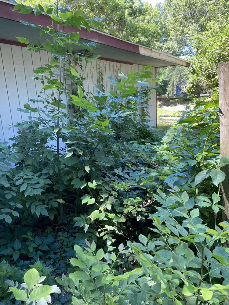 Professional landscaping services in Howell, MI by E T Landscaping