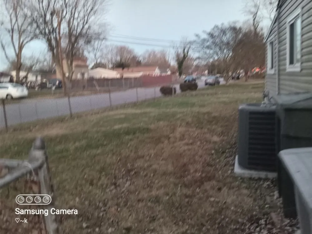 Custom outdoor landscaping experts serving Hampton, VA - E T Lawn Care