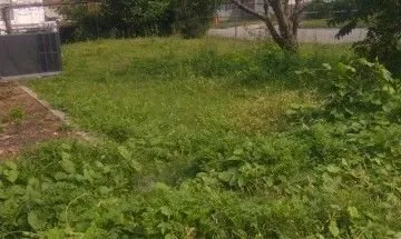 Professional landscape design with custom design across Hampton, VA - E T Lawn Care