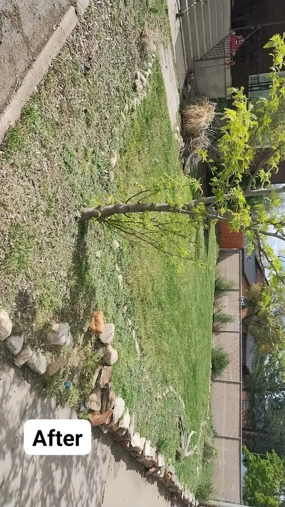 Professional lawn care service with custom design across Tooele, UT - E-T Odd Jobs