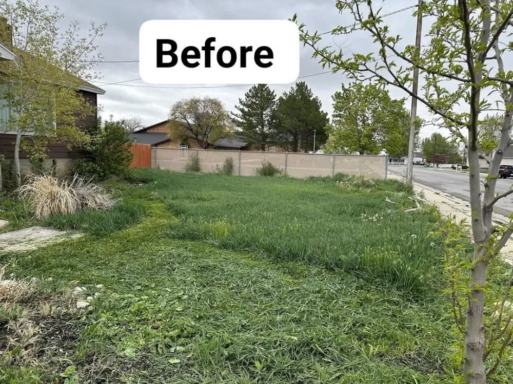 Affordable lawn mowing service experts serving Tooele, UT - E-T Odd Jobs