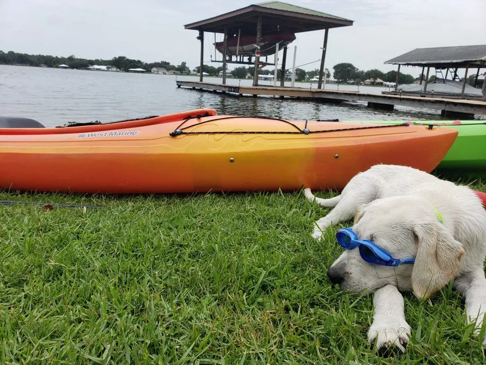 Expert outdoor landscaping with custom design in Citrus Springs, FL by E Tropical Lawn Care