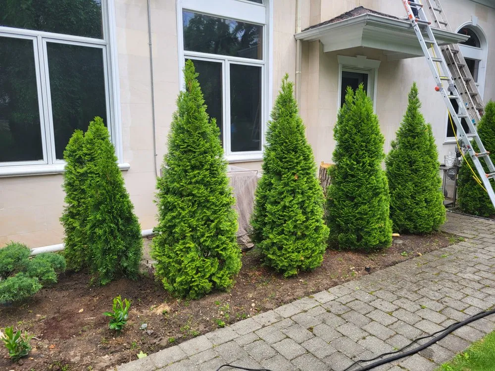 Expert yard cleanup service for year-round maintenance in Salem, NJ by E Ts Handy landscaping