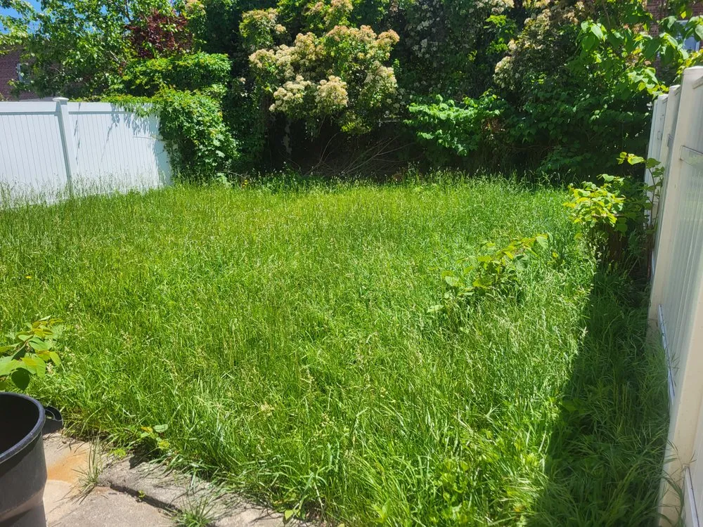 Top-rated lawn care service in Salem, NJ by E Ts Handy landscaping