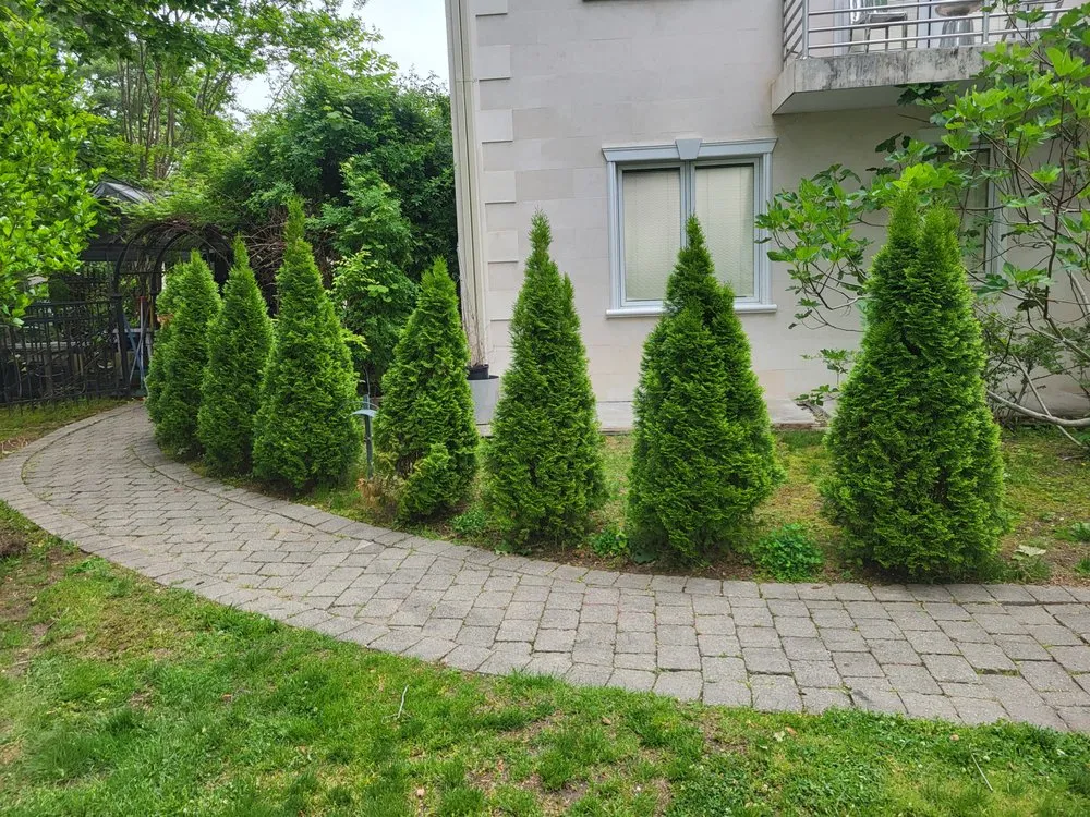 Local landscape installation in Salem, NJ - E Ts Handy landscaping