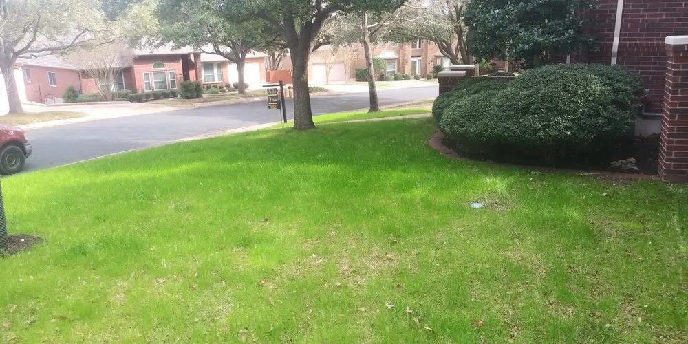 Custom lawn mowing service with custom design across Austin, TX - E. Wilson's Landscaping