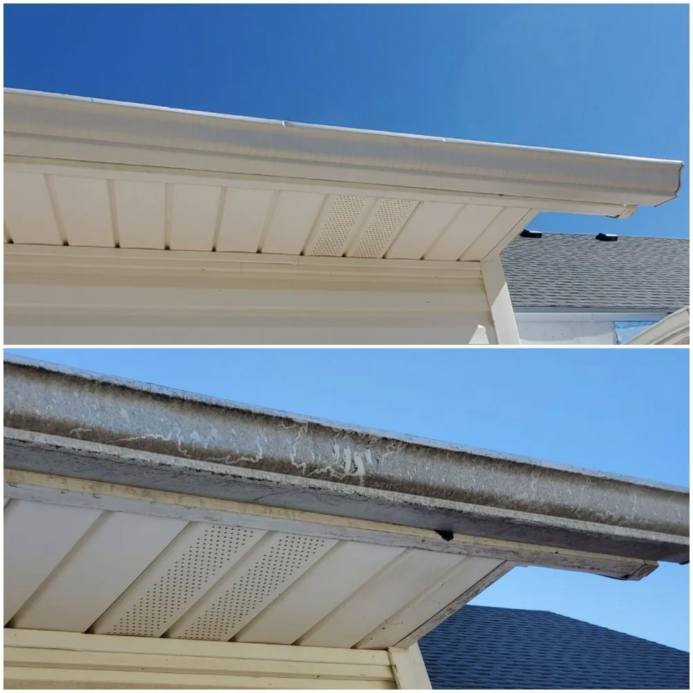 Reliable yard maintenance in Roland, OK by E-Z Clean