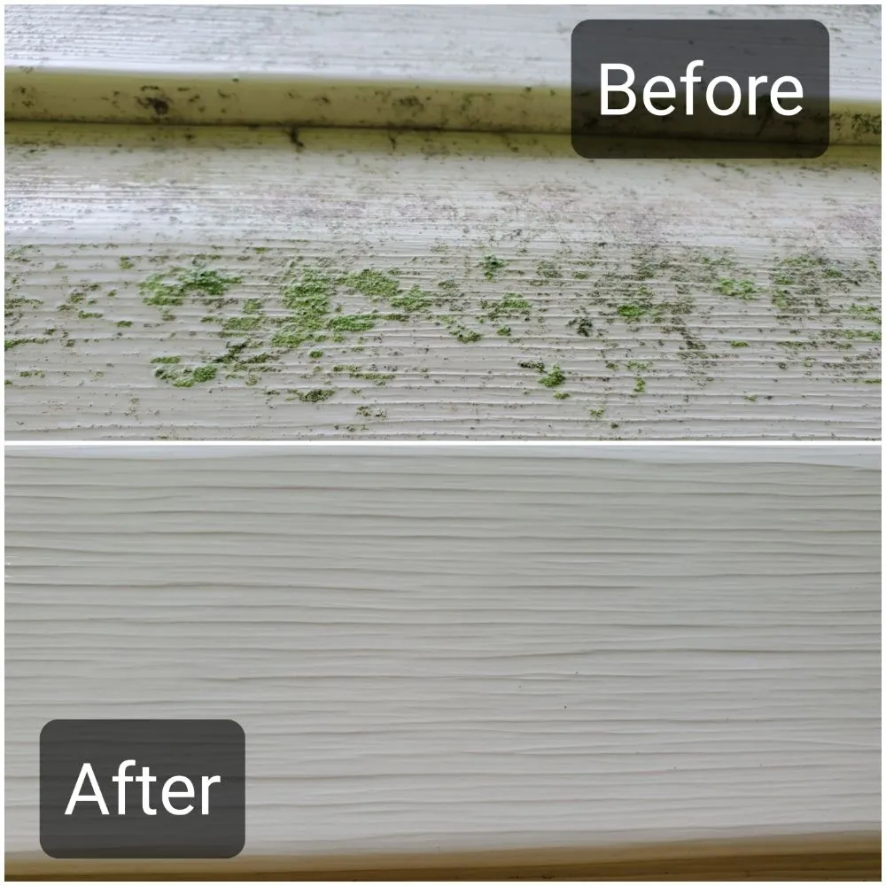 Reliable yard maintenance for homes in Roland, OK by E-Z Clean