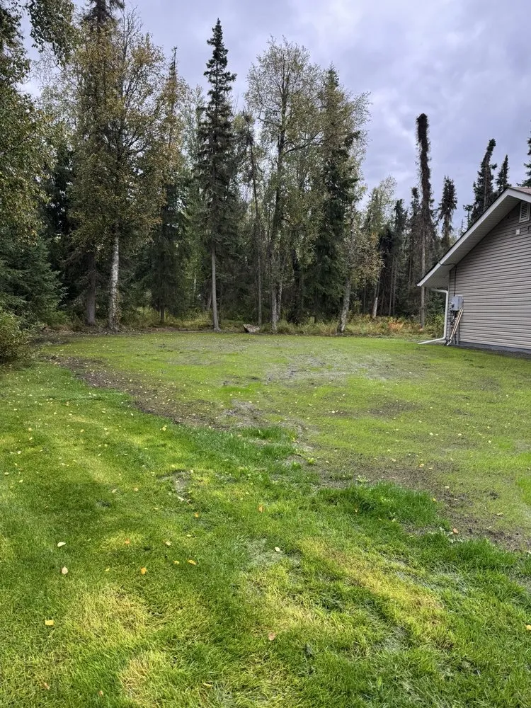 Top-rated yard maintenance experts serving Kenai, AK - E Z Grass Hydroseeding