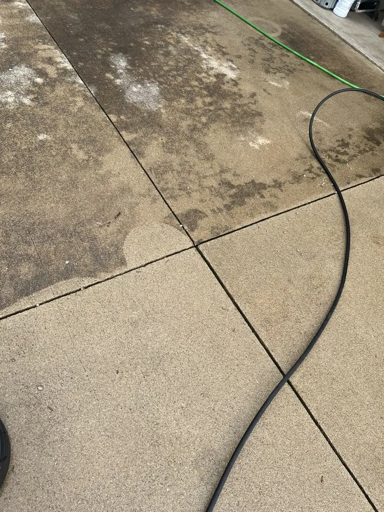Professional yard cleanup service in Sidney, OH by E-Z Kleen Exterior Cleaning Services