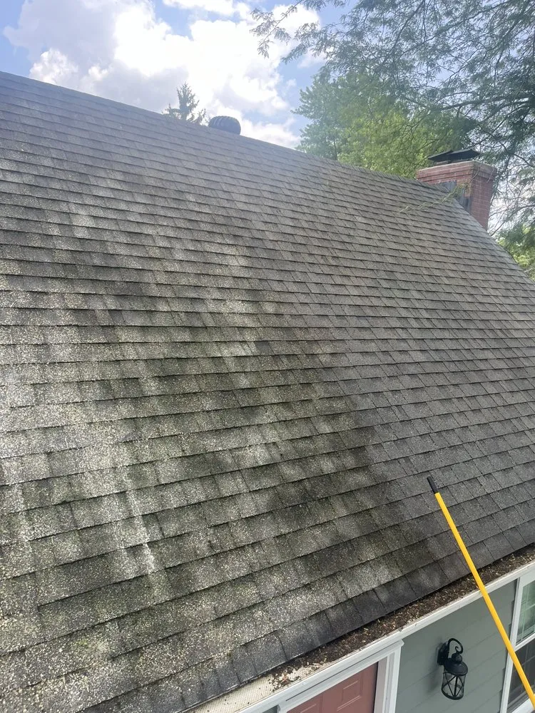 Affordable yard cleanup service in Sidney, OH by E-Z Kleen Exterior Cleaning Services