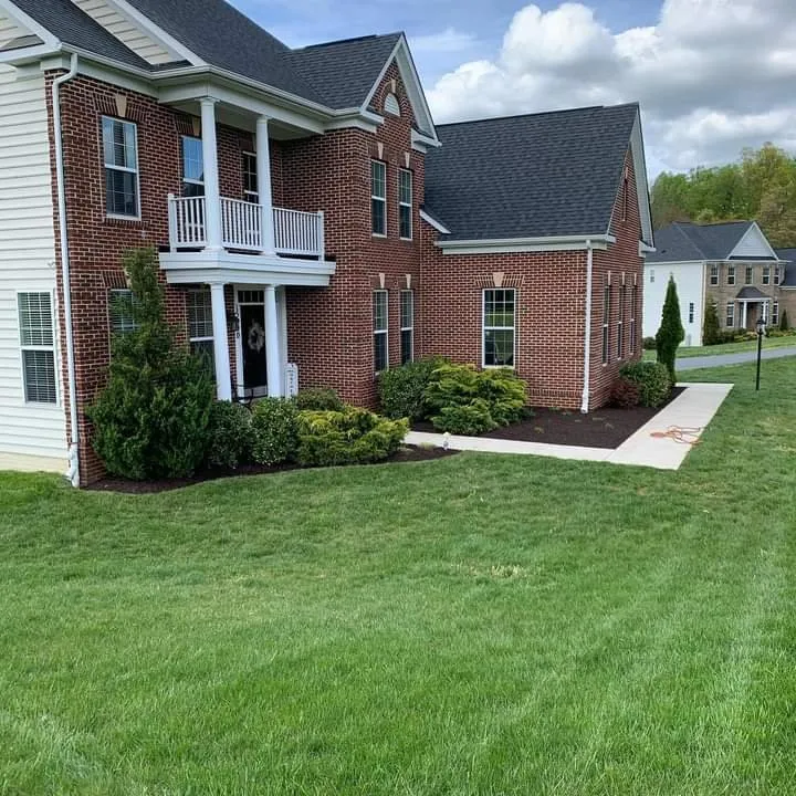 Local yard cleanup service for beautiful yards across Baltimore, MD - E-Z Lawn