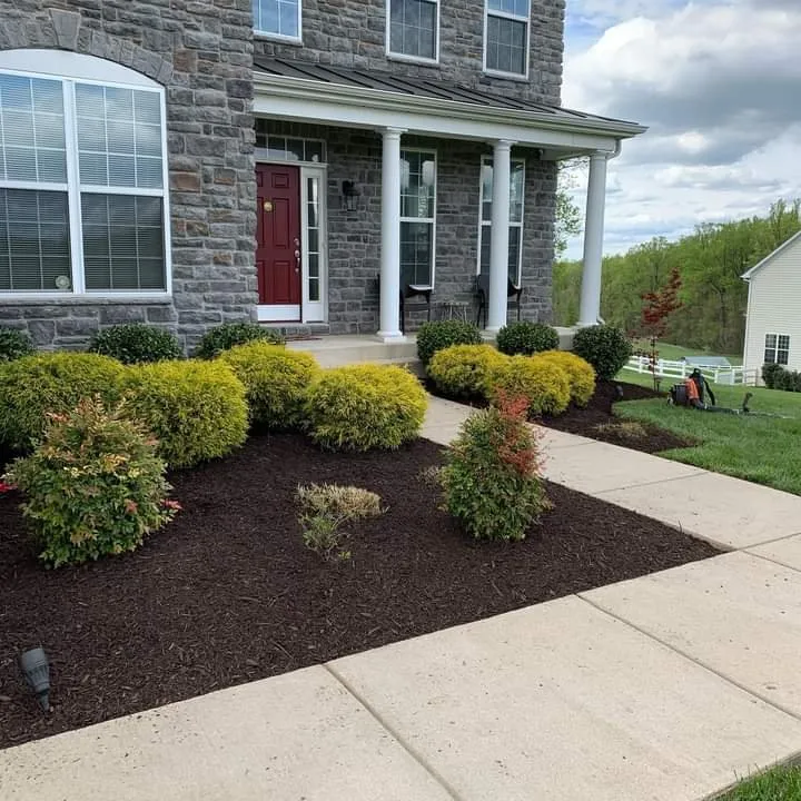 Custom yard maintenance in Baltimore, MD by E-Z Lawn