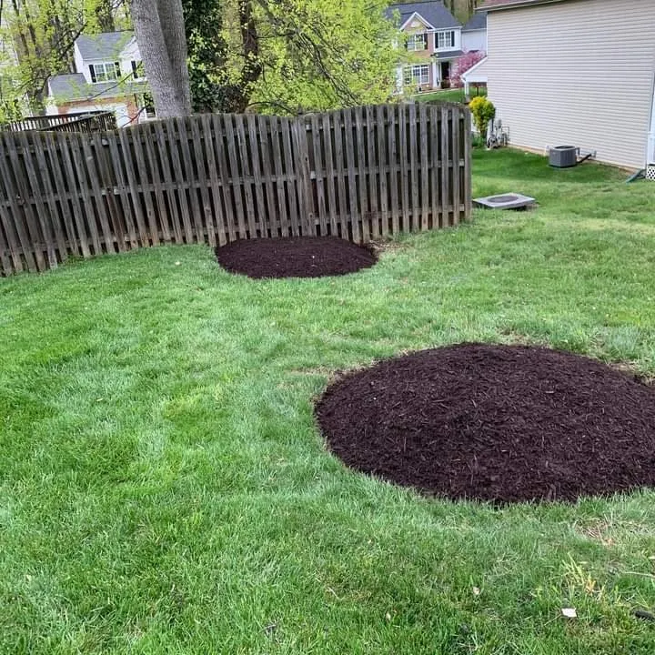 Trusted landscaping services for residential properties in Baltimore, MD by E-Z Lawn