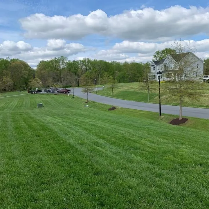 Professional lawn mowing service experts serving Baltimore, MD - E-Z Lawn