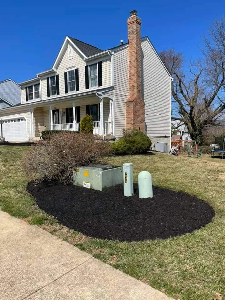 Trusted yard cleanup service in Baltimore, MD by E-Z Lawn