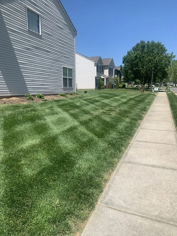 Affordable lawn mowing service experts serving Charlotte, NC - E Z Lawn Service