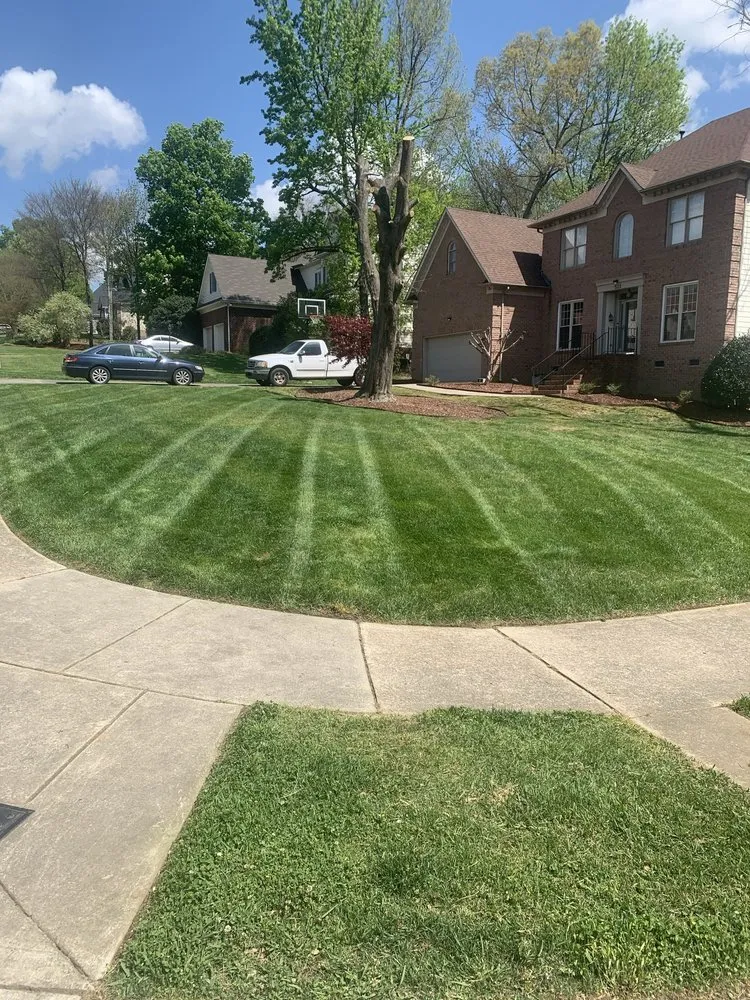 Expert yard cleanup service for residential properties across Charlotte, NC - E Z Lawn Service