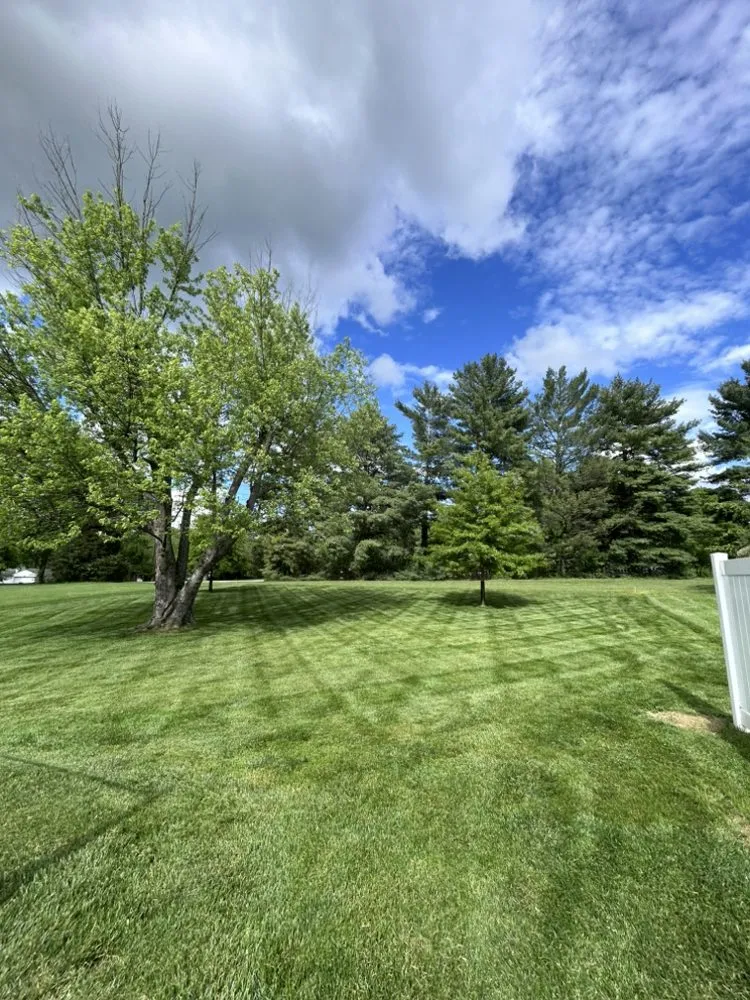 Local yard cleanup service in Milford, OH by E Z Mowing & Landscaping