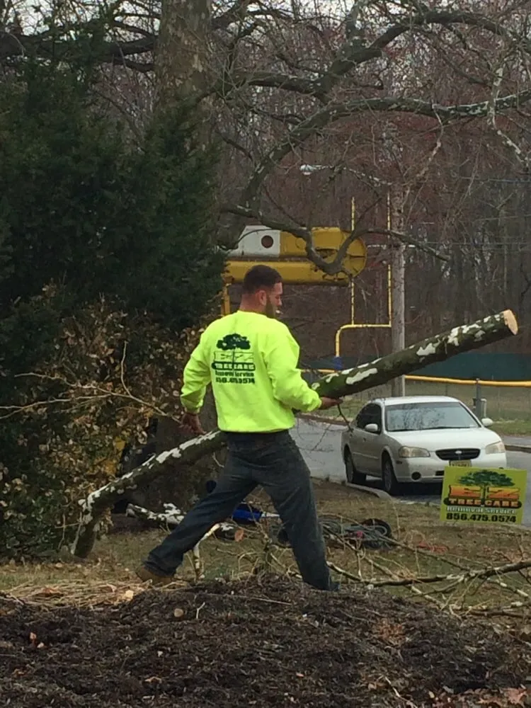 Expert outdoor landscaping in Deptford, NJ by E-Z Tree Care and Removal Service - Gloucester County