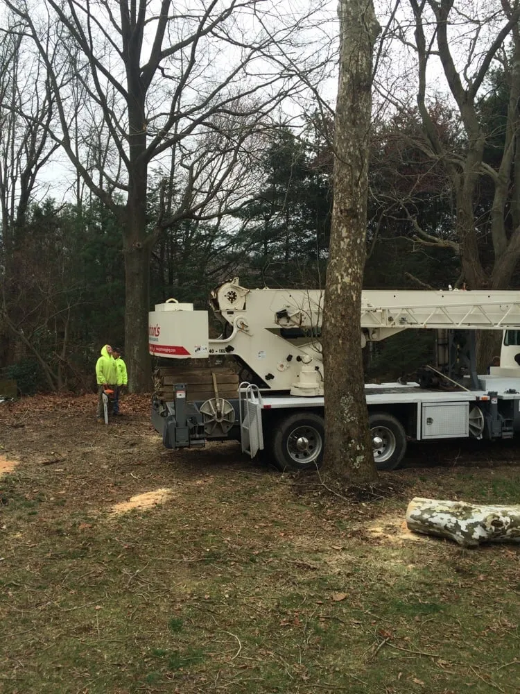 Expert landscape design in Deptford, NJ - E-Z Tree Care and Removal Service - Gloucester County