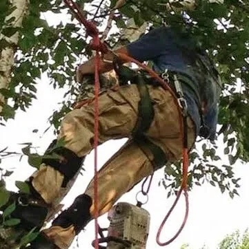 Professional landscaping services for homes across Deptford, NJ - E-Z Tree Care and Removal Service - Gloucester County