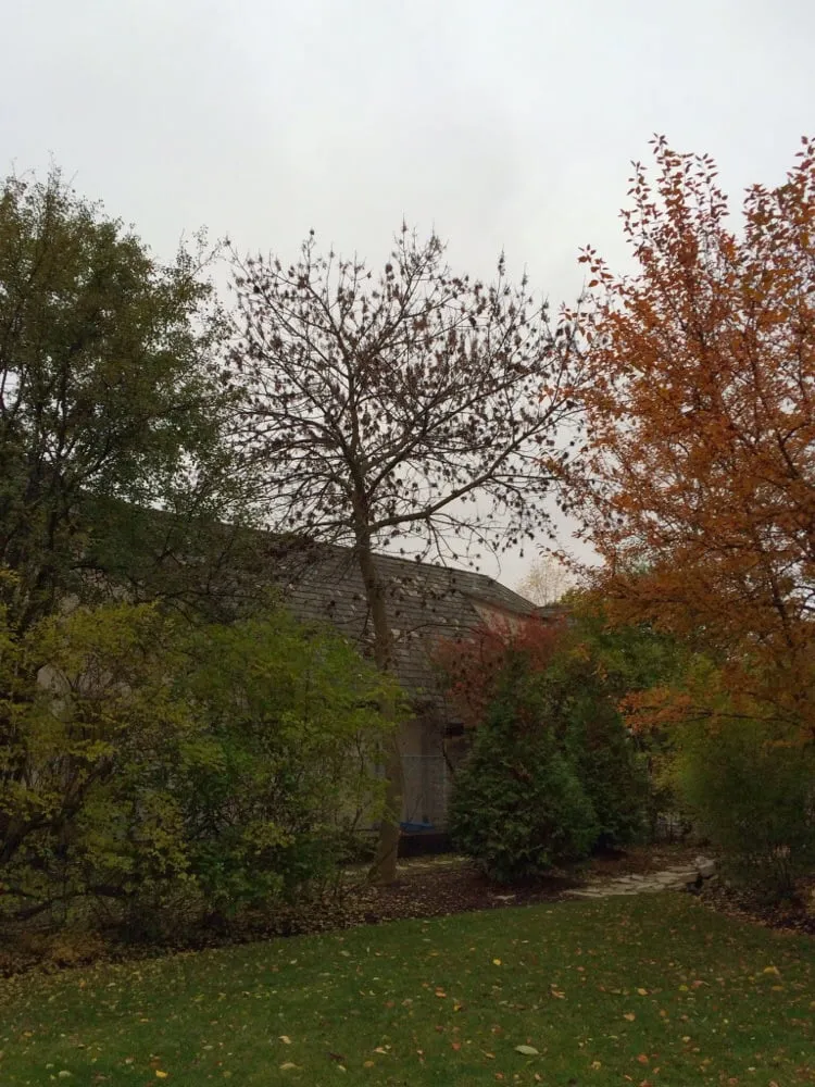 Top-rated landscape installation in Gloucester City, NJ - E-Z Tree Care and Removal Service