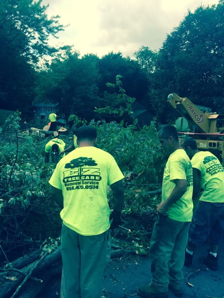 Trusted landscape installation experts serving Gloucester City, NJ - E-Z Tree Care and Removal Service
