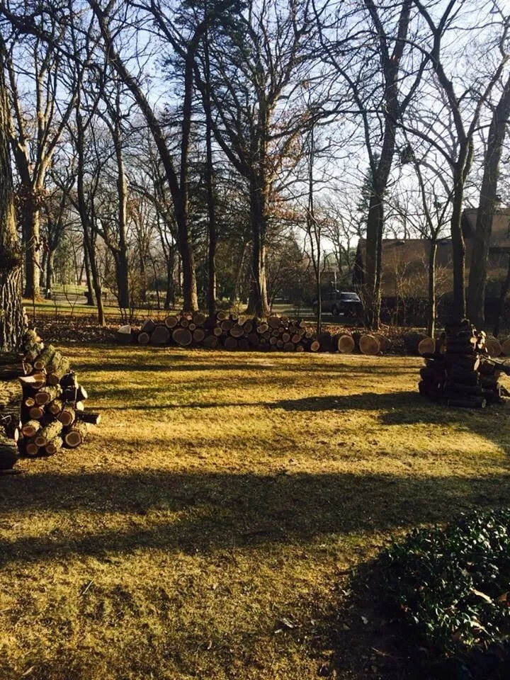 Top-rated landscape design in Gloucester City, NJ by E-Z Tree Care and Removal Service