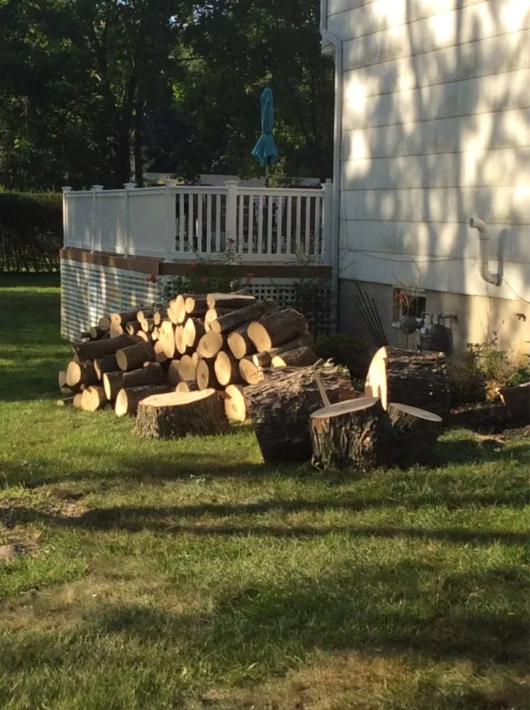 Custom outdoor landscaping near you in Gloucester City, NJ by E-Z Tree Care and Removal Service