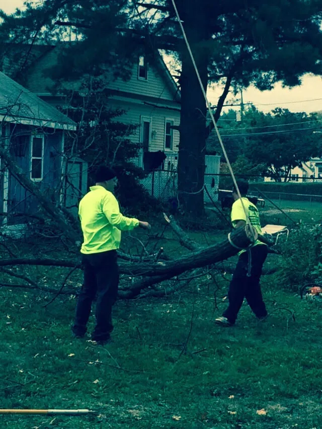 Custom outdoor landscaping experts serving Gloucester City, NJ - E-Z Tree Care and Removal Service