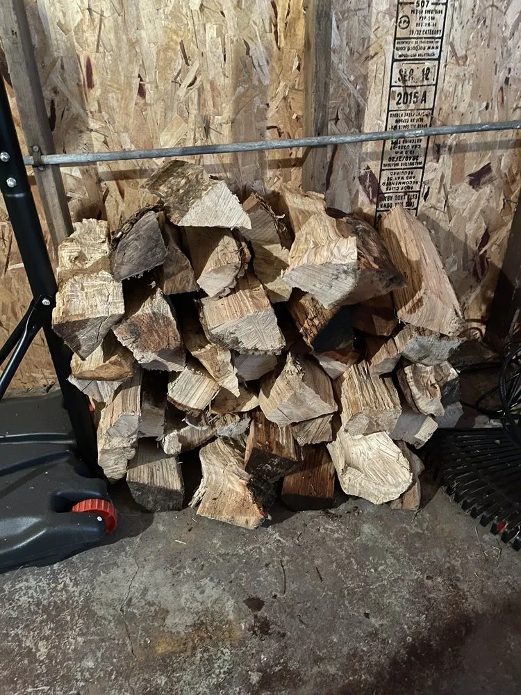 Trusted lawn care service with custom design in Chicago, IL by E-Z Tree Recycling