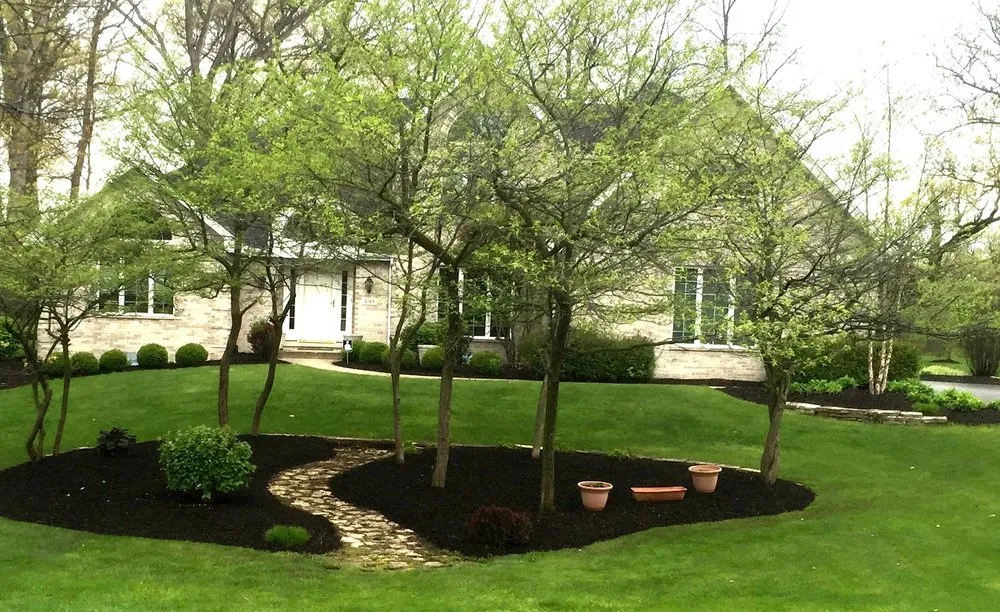 Expert outdoor landscaping in Chicago, IL by E-Z Tree Recycling