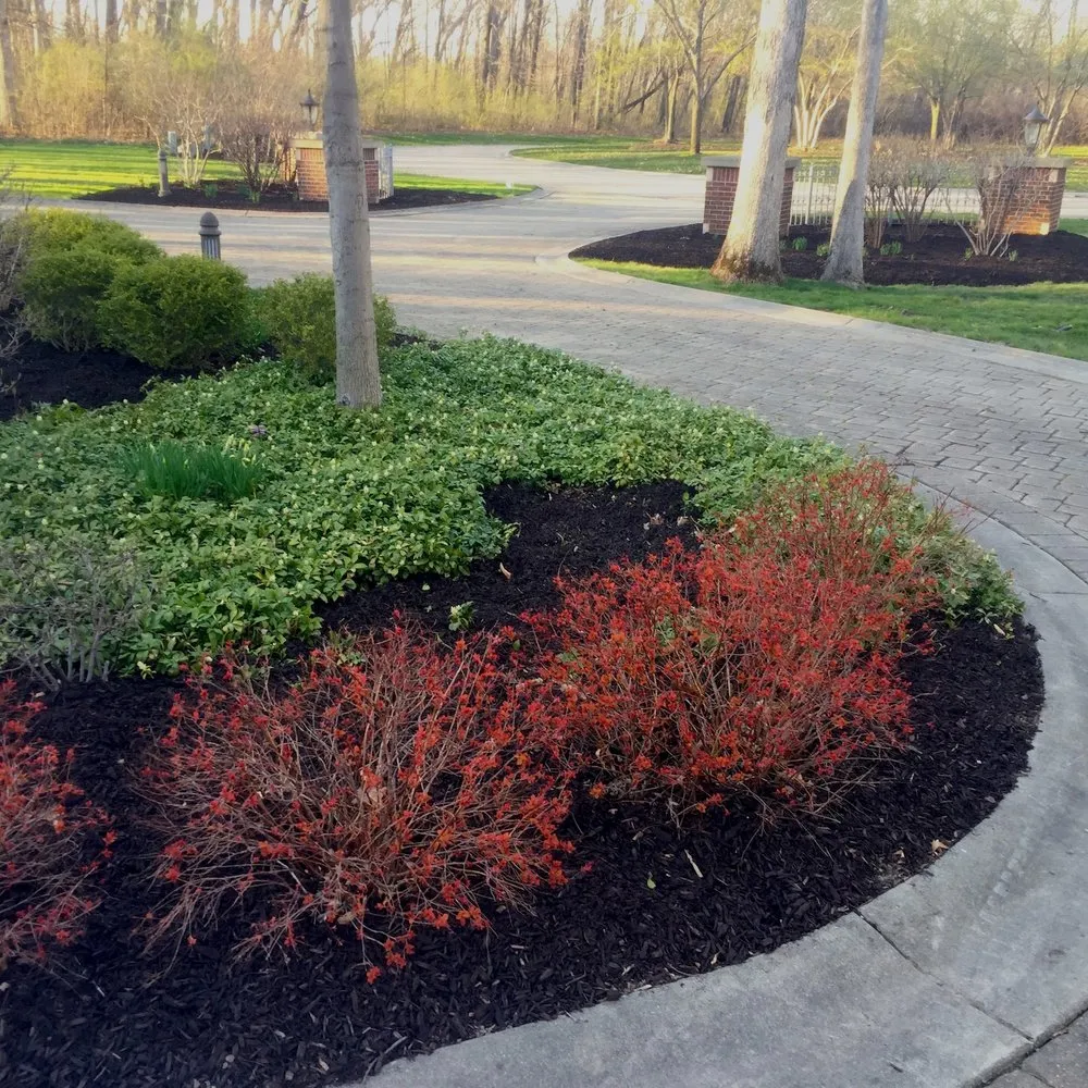 Professional lawn care service in Chicago, IL - E-Z Tree Recycling